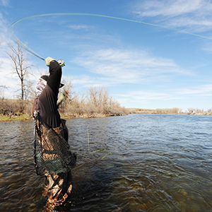 Fly Fishing with Fly Line